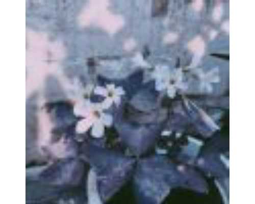 做输卵管造影需要注意什么~捐卵试管机构排名